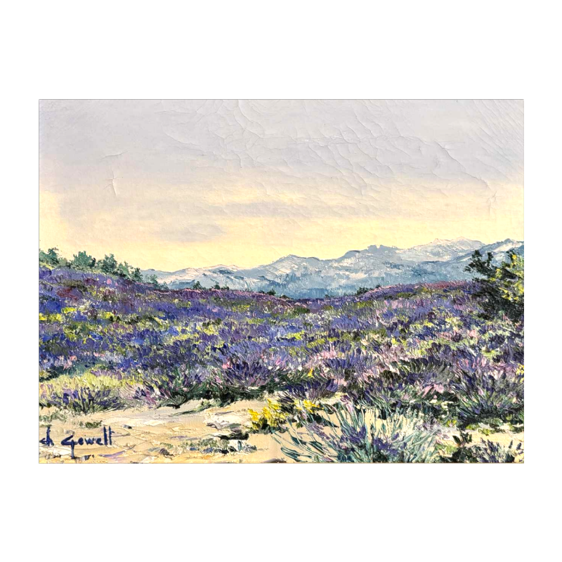 Christiane GEWELT « Les lavandes du plateau des CLAPAREDES » peinture huile sur toile