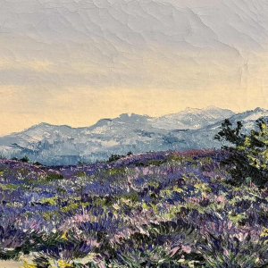 Christiane GEWELT « The lavenders of the CLAPAREDES plateau » painting oil on canvas