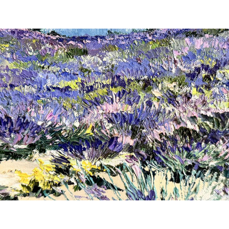 Christiane GEWELT « The lavenders of the CLAPAREDES plateau » painting oil on canvas