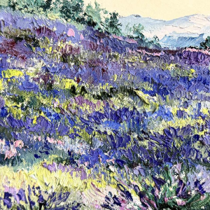 Christiane GEWELT « Lavendel van het plateau van de CLAPAREDES » schilderij olie op doek