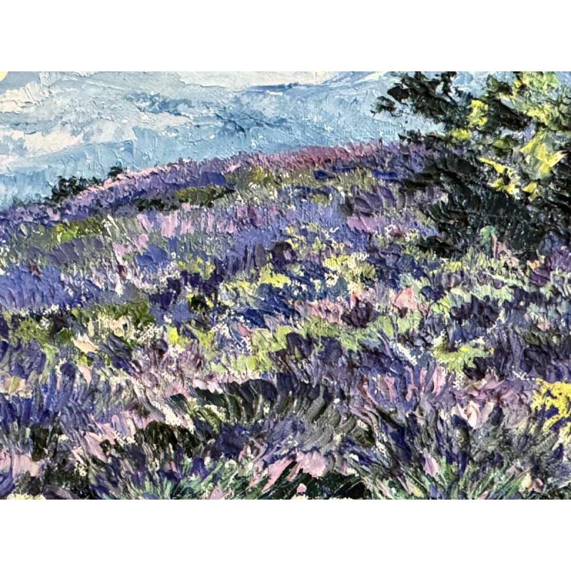 Christiane GEWELT « The lavenders of the CLAPAREDES plateau » painting oil on canvas