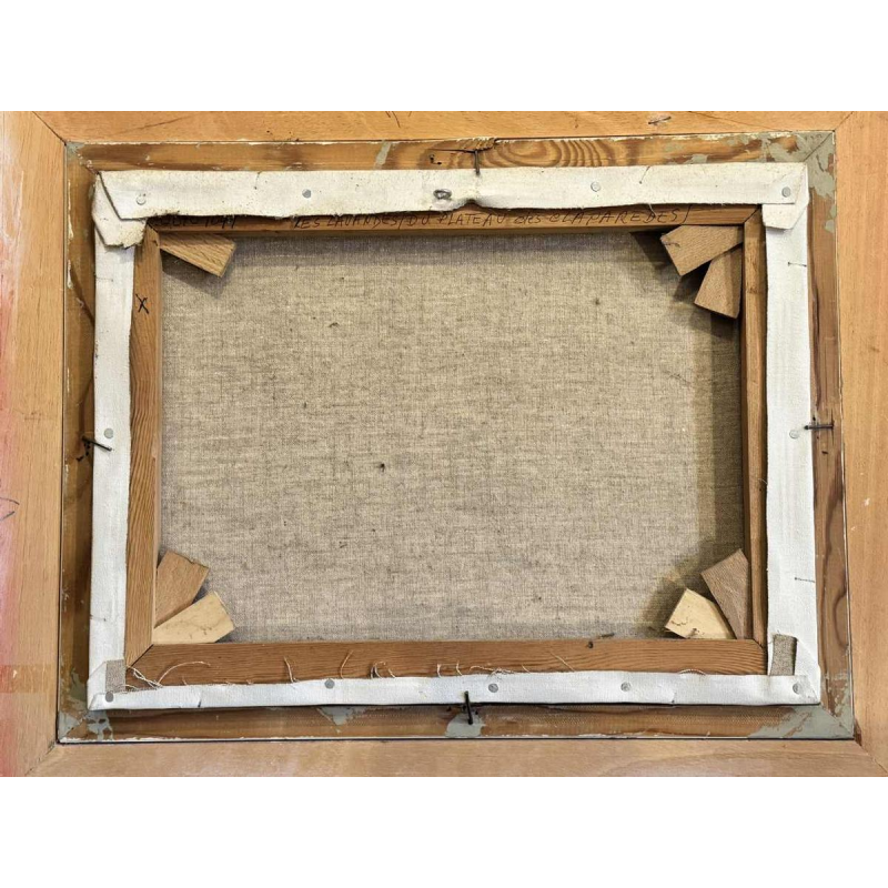 Christiane GEWELT « Lavendel van het plateau van de CLAPAREDES » schilderij olie op doek