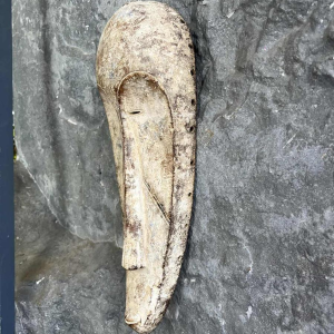 Large African FANG mask - Gabon
