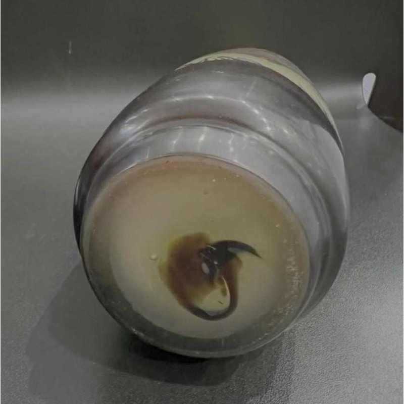 Émile GALLE, vase en verre multicouche à décor de « paysage vosgien», fin XIXème