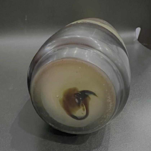 Émile GALLE, vase en verre multicouche à décor de « paysage vosgien», fin XIXème