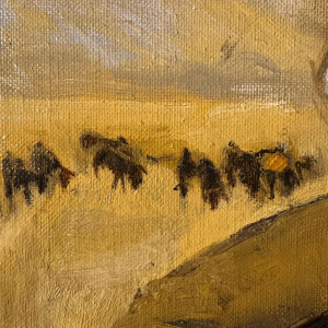 The young Bedouin and the signature lamb to be identified