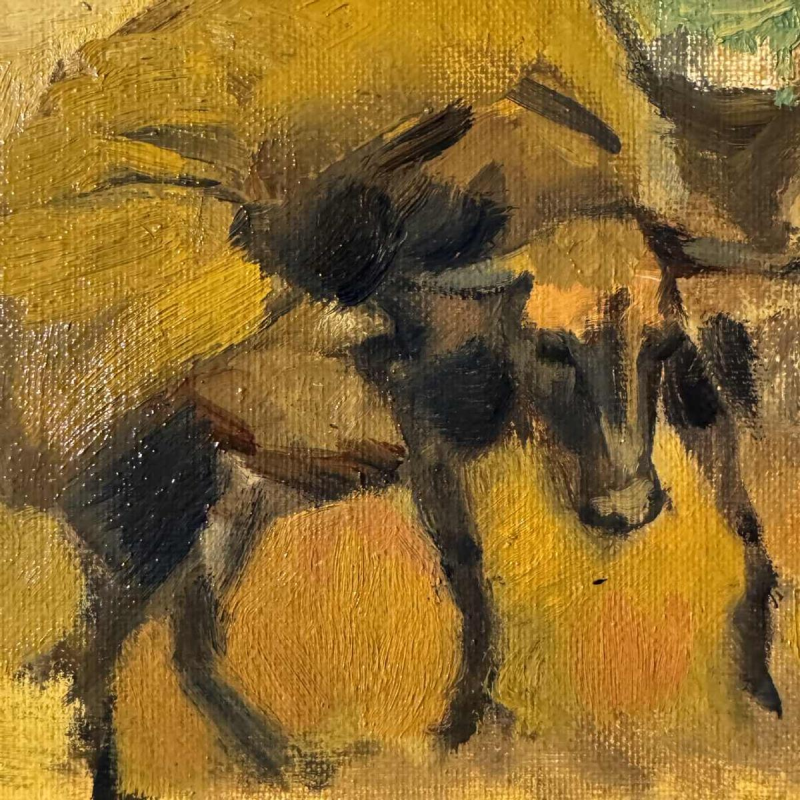 The young Bedouin and the signature lamb to be identified