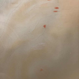 ROGER DE RUYCKE ' La Belle Corisande ' femme nue, gravure à l'aquatinte, 1950