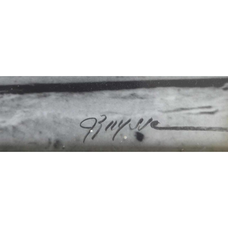 Greta Buysse 'Nu couché voilé' photo argentique, ca 2012