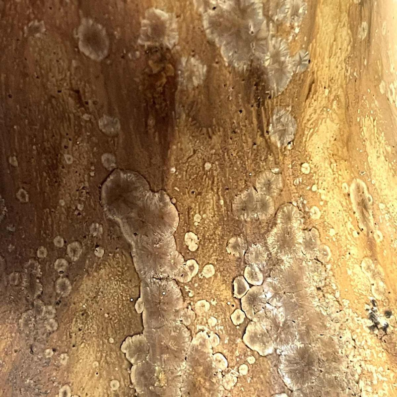 ROGER GUERIN, vase 'coloquinte' Art Nouveau brun à trois hanses, grès salé grand feu, Bouffioulx ca 1920