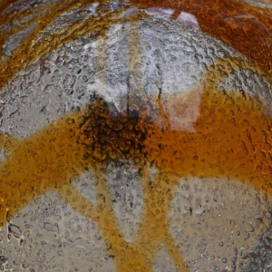 Toni Zuccheri voor Mazzega in Murano, paar vintage glazen wandlampen, 1970