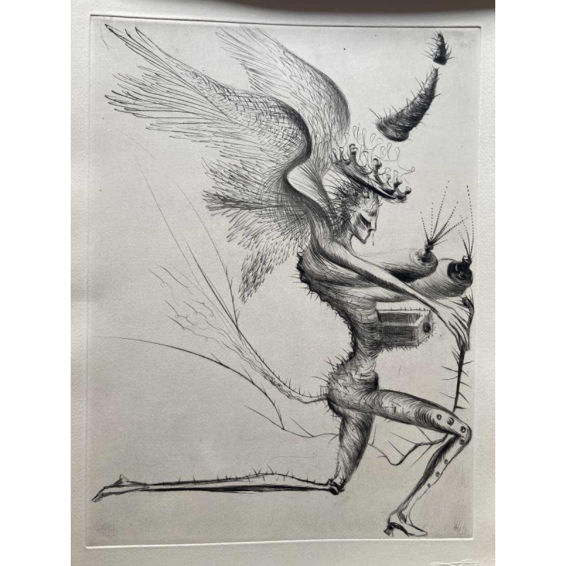 Sacher Masoch “De Venus in bont” illustraties van Salvador Dali