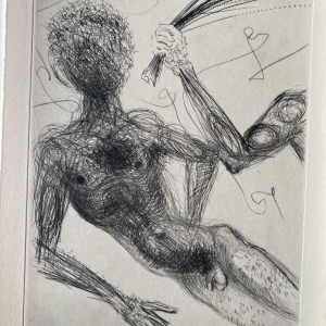 Sacher Masoch “De Venus in bont” illustraties van Salvador Dali