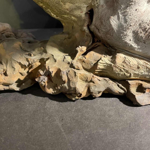 PIET PIJN, Grande Sculpture " Vache " Pie`ce Unique en Terre Cuite, ca 1940