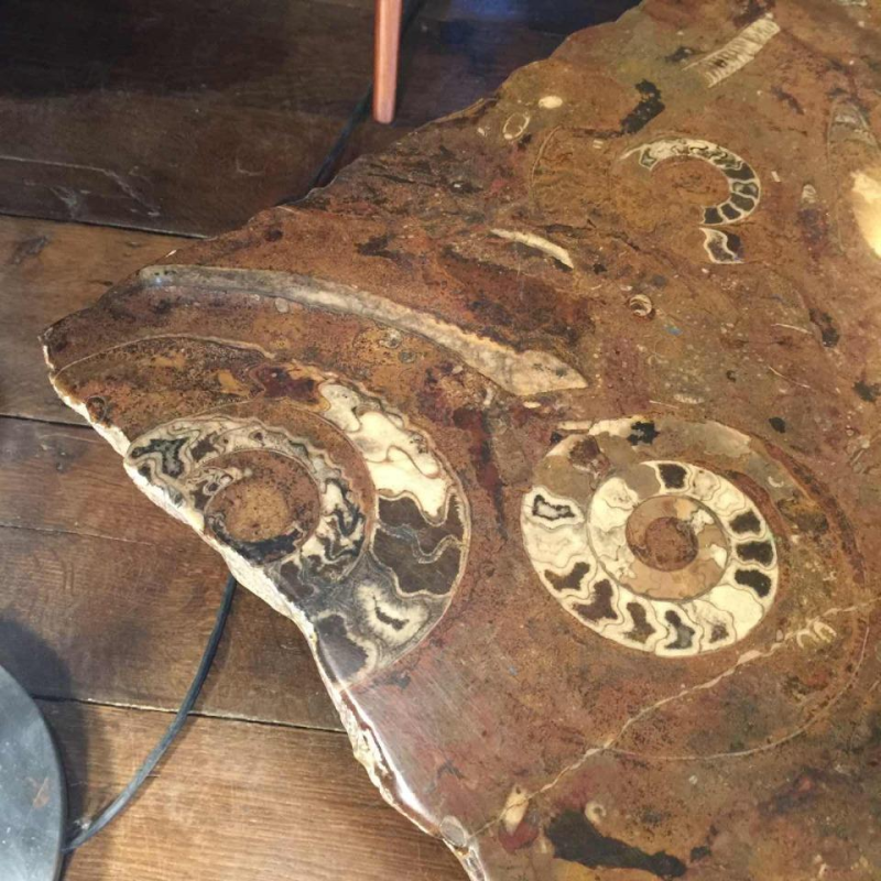 Etienne Allemeersch (attributed to), marble coffee table "fossils", 1970