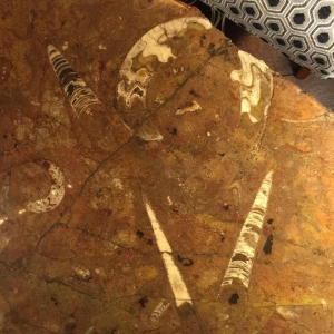 Etienne Allemeersch (attributed to), marble coffee table "fossils", 1970