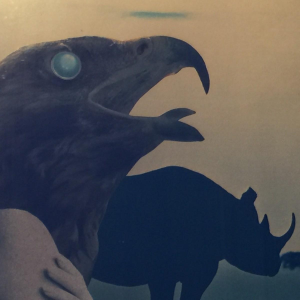 Collage surréaliste attribué à Carlos de Radzitzky - circa 1960