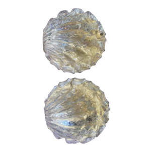 Pair of wall sconces in thick granite glass, 'Coquille' model, 1950s