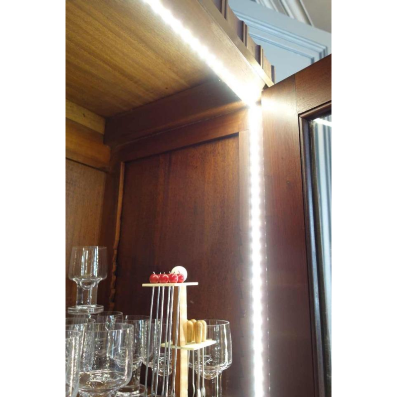 Art Deco showcase / bookcase, Viennese secession style, circa 1910