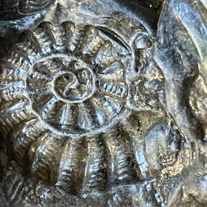 Jean-Jacques Feuchère 'Le céramiste Bernard Palissy' par Vittoz Bronzier en 1844, sculpture en bronze