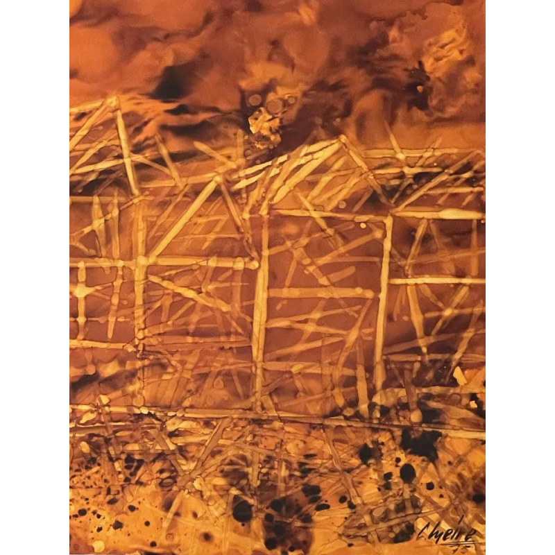 Charles MEIRE (20e s.) « Incendie XII 1975 » aluchromie 68x82 cm