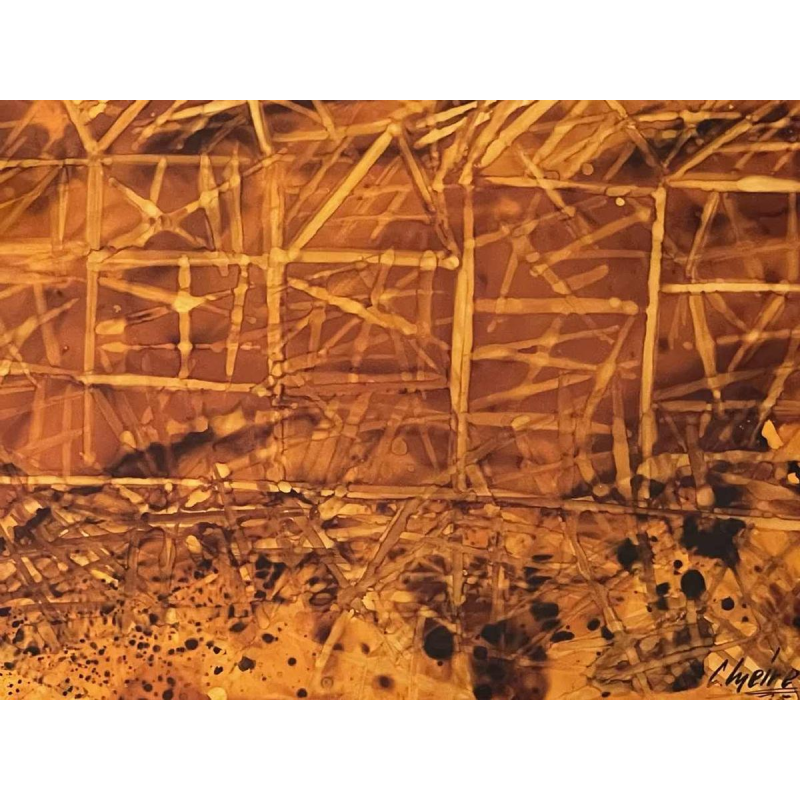 Charles MEIRE (20e s.) « Incendie XII 1975 » aluchromie 68x82 cm