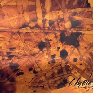 Charles MEIRE (20e s.) « Incendie XII 1975 » aluchromie 68x82 cm