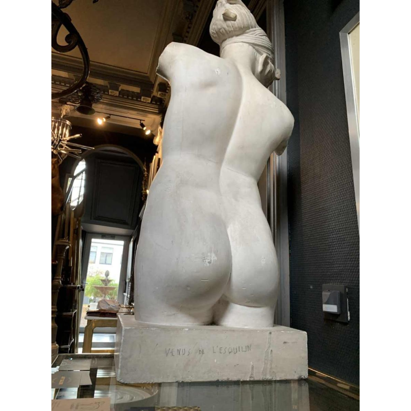Venus van de Esquilijn, groot beeldhouwwerk 88 cm, gips naakte vrouw Aphrodite