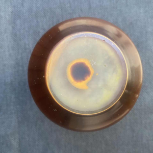 Emile Gallé, Art Nouveau pâte de verre vaas met leliemotief, ca 1900