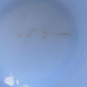 Saint Louis, pair of opaline glass vases, ca 1940