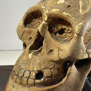 “Statutum est hominibus semel mori“ objet de curiosité - vanité, sculpture en plâtre patiné, ca 1900