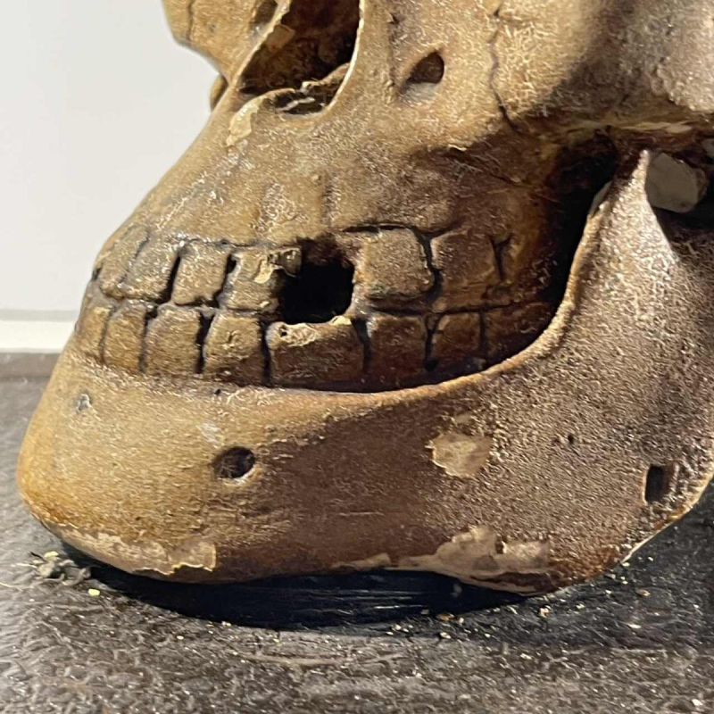 “Statutum est hominibus semel mori“ objet de curiosité - vanité, sculpture en plâtre patiné, ca 1900