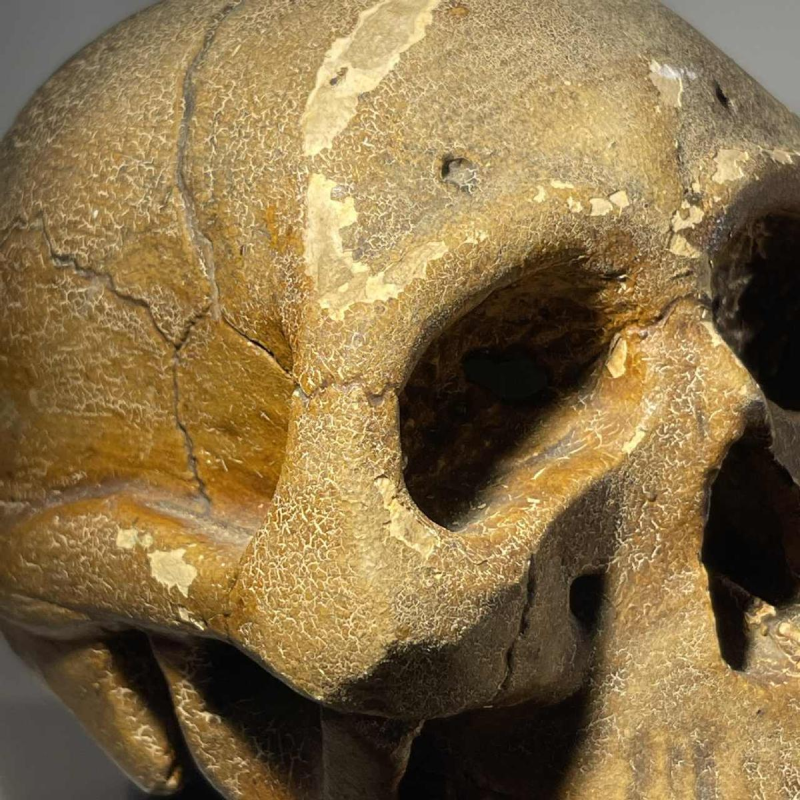 “Statutum est hominibus semel mori” object of curiosity - vanity, patinated plaster sculpture, ca 1900