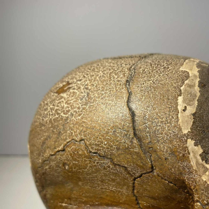 “Statutum est hominibus semel mori” object of curiosity - vanity, patinated plaster sculpture, ca 1900