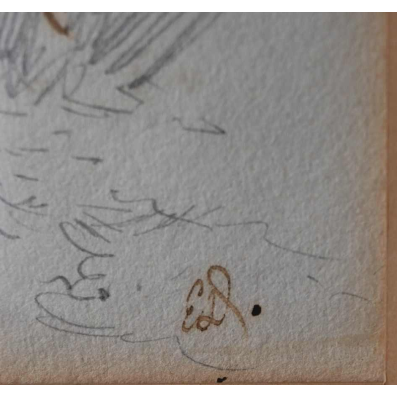 Edouard Detaille, dessin encre plume sur papier, Officier des grenadiers la garde impériale, XIXe s