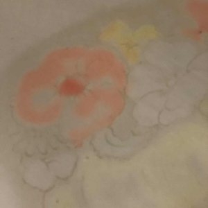 ROGER DE RUYCKE ' La Belle Corisande ' femme nue, gravure Ã  l'aquatinte, 1950