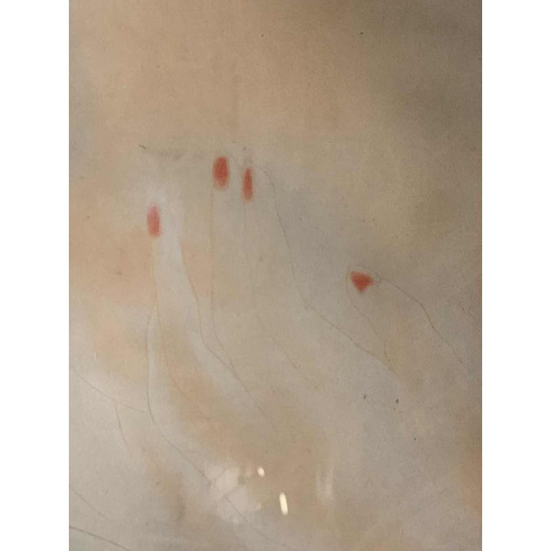 ROGER DE RUYCKE ' La Belle Corisande ' femme nue, gravure Ã  l'aquatinte, 1950