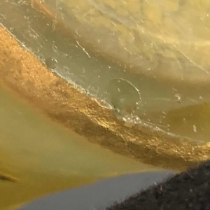 DAUM NANCY ""MADELIEFJES " diabolo vaas, zuurvrij goud en zilver versterkte 1910