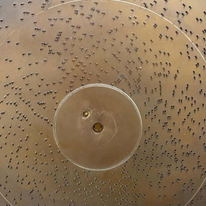 Symphonion Musikwerke, 16 schijven, diameter 30 cm, eind 19e eeuw