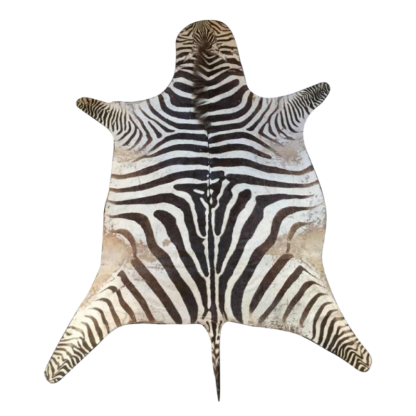 Peau de zèbre - Equus Burchellii