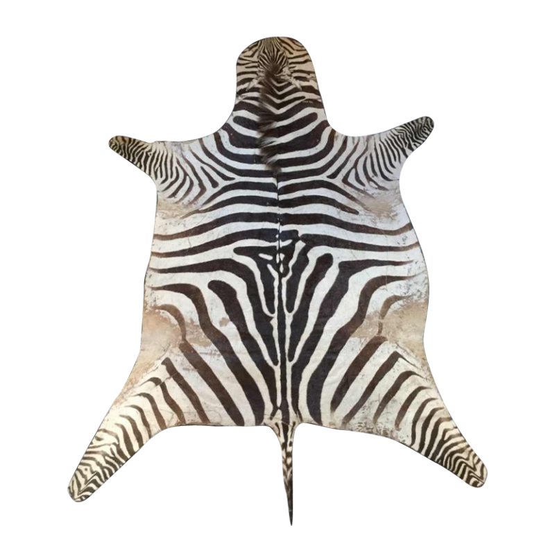 Peau de zèbre - Equus Burchellii