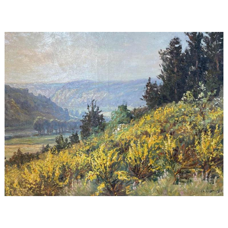 Albert DANDOY (1885-1977): « Les genêts et panorama de Meuse »