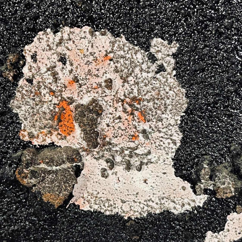 Louis-Marie Londot, abstract painting, oil and concretions on panel N°16, 1963