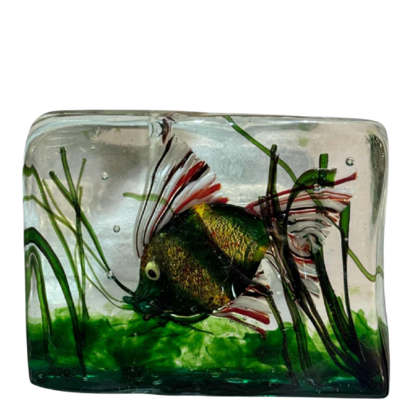 MURANO, aquarium en verre, Italie Venise vers 1960