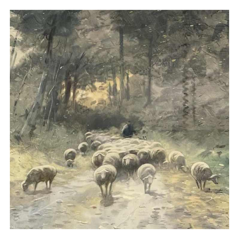 Maurice Hagemans aquarelle « le troupeau de moutons et son berger »