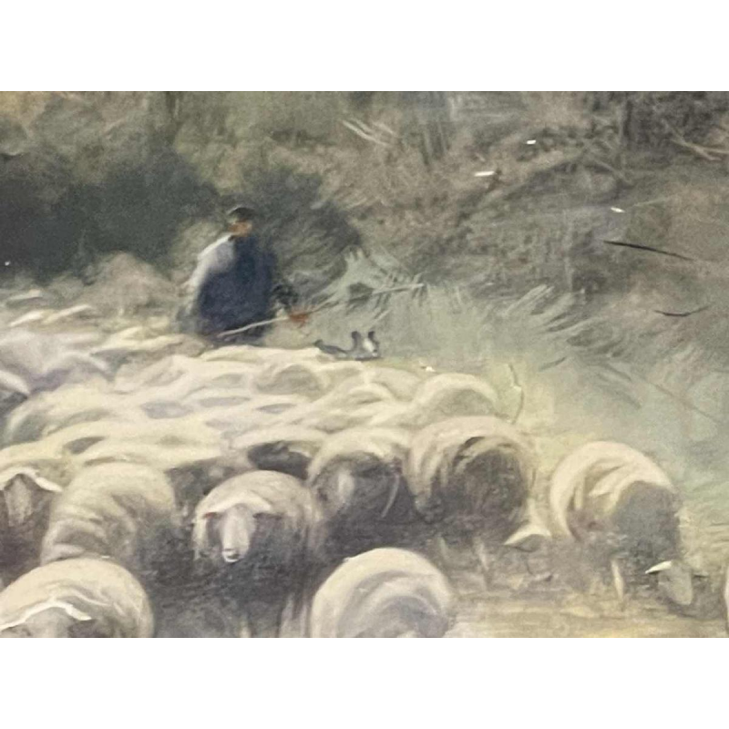 Maurice Hagemans aquarelle « le troupeau de moutons et son berger »