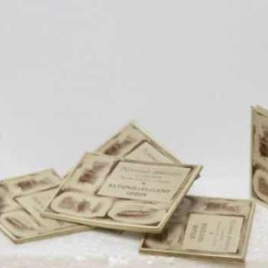 Balysis et Darcourt, étui des itinéraires Illustrés des omnibus parisiens en 1900