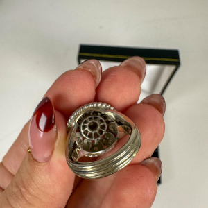 Witgouden en diamanten ring