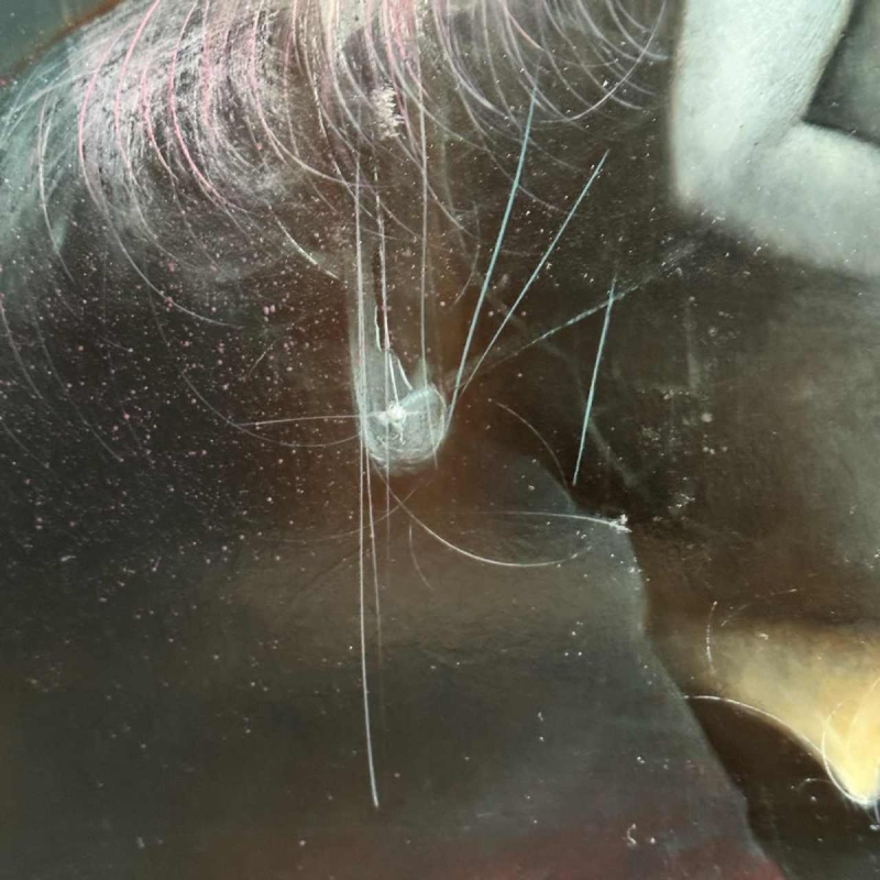 Jean-Claude DRESSE (1946-): « Rode appels » schilderij