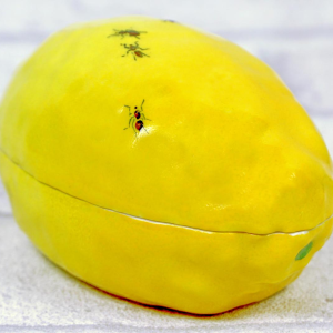 Didier GARDILLOU, boite en forme de citron ornée de fourmis - trompe l'oeil en porcelaine